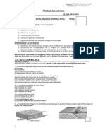 Prueba Avance 7º HISTORIA