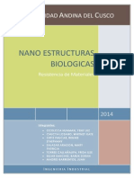 INFORME (Nano-Estructuras Biologicas)