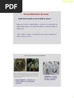 BDP_23_-_Desenvolvimento_do_ovulo.pdf