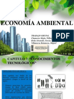 Economia Ambiental