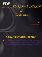 Organizational Design and Structures