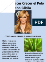 Como Hacer Crecer El Pelo Con Sábila 