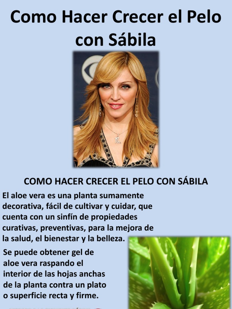 Cuanto Tarda Un Rosal En Crecer