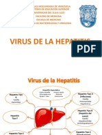 Exposicion Virus Hepatitis