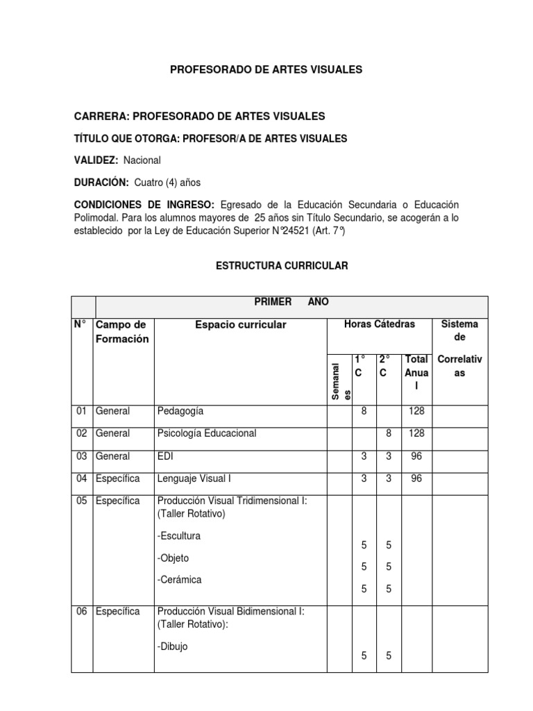 Profesorado en Artes Visuales: Plan de Estudios | PDF | Dibujo ...