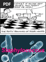 Download Staphylococcus  by Hesham SN23002131 doc pdf