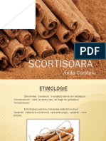 Scortisoara PDF