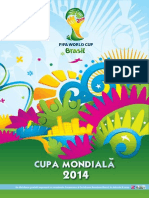 Supliment Cupa Mondiala