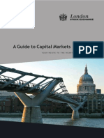 Guide to Capital Markets