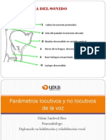 Evaluacion Parametros No Locutivos de La Voz