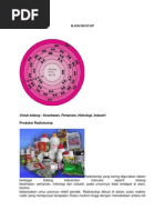 Download RADIOISOTOP by Radja AutoBoys SN230080013 doc pdf
