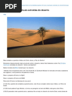 As 20 Lições Espirituais Extraídas Do Deserto