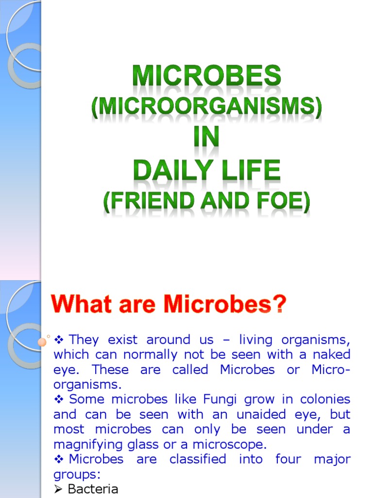 useful microorganisms in our daily life