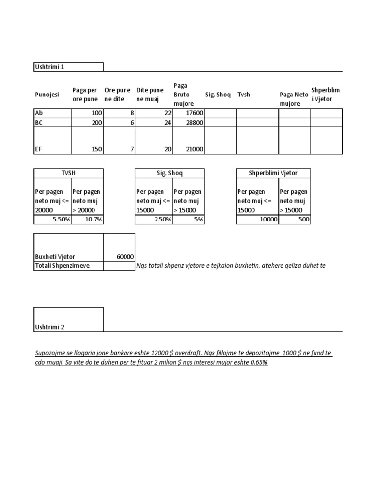 Ushtrim Excel | PDF