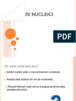 Acizii Nucleici