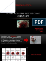 Las Manchas de Sangre Como Evidencias