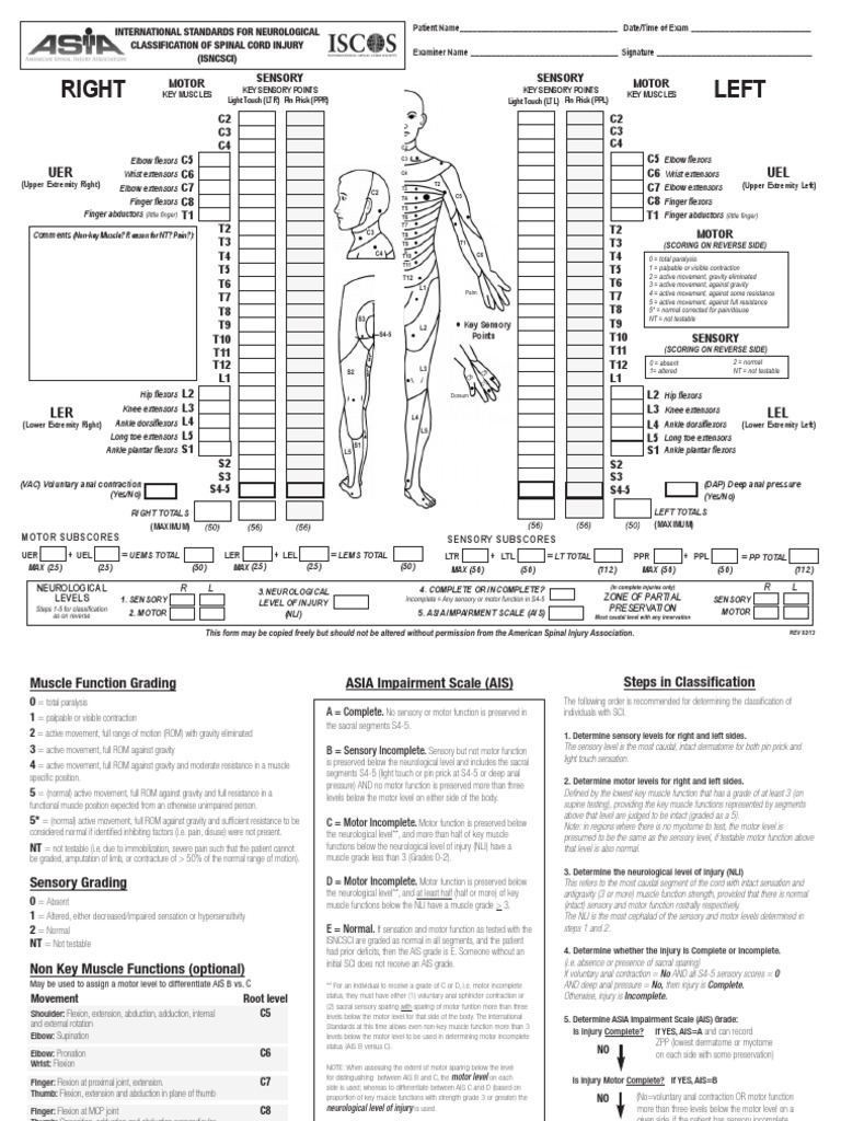 ISNCSCI Classification Guidelines | PDF | Anatomical Terms Of Motion ...