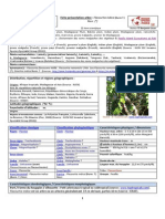 Fiche Presentation Flacourtia Indica