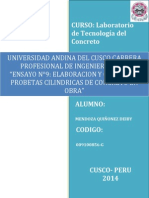 ENSAYO N°10docx