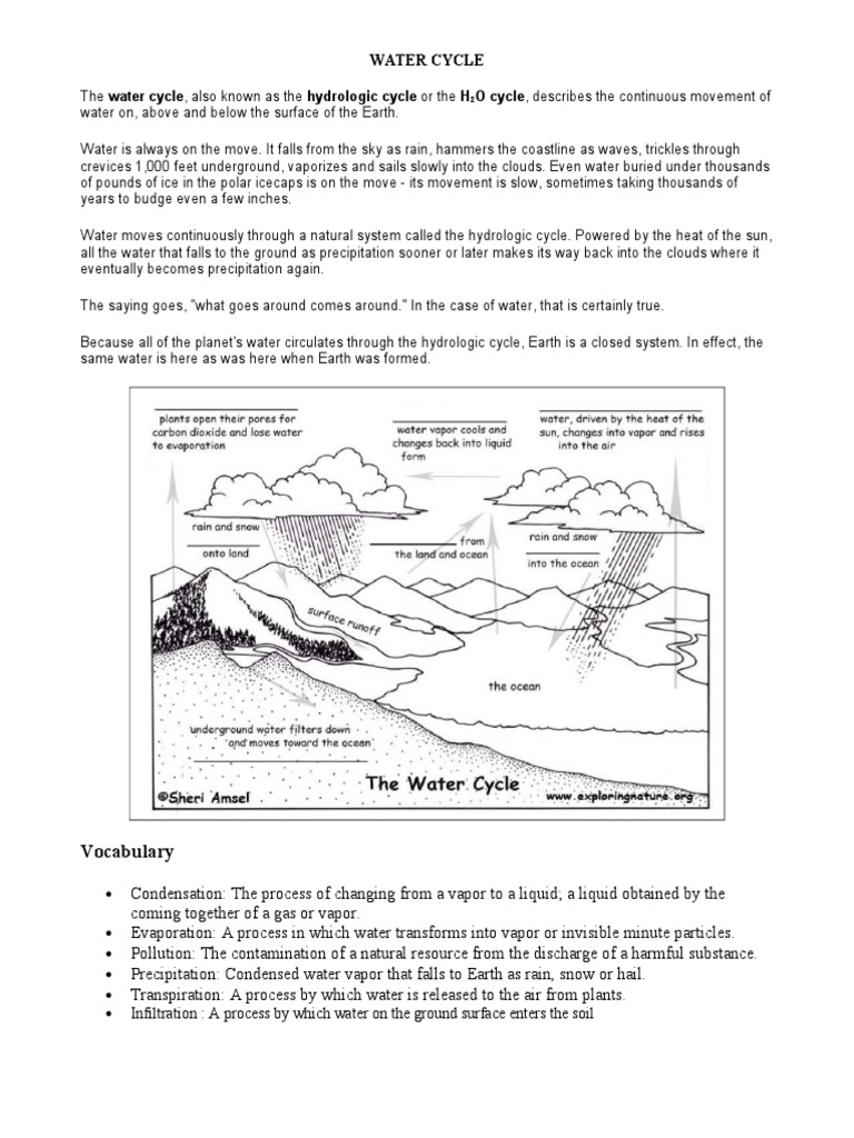 Water Cycle Terrarium | Water Cycle | Hydrology