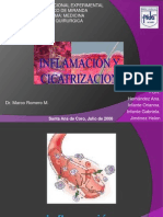 Cicatrizacion e Inflamacion