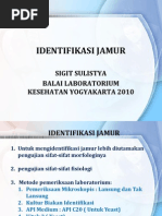 Download Teknis Identifikasi Jamur Biakan Identifikasi by So Funn SN230212158 doc pdf