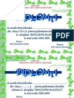 Final-dipl. Ed. Plastica 2009