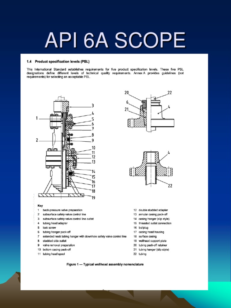API 6a Wellhead Formation | PDF