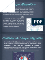 Campo Magnetico