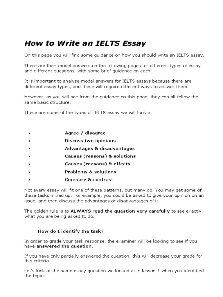 alternative medicine essay