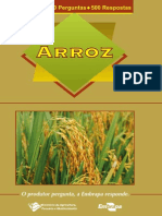 500P Arroz Ed01 2001