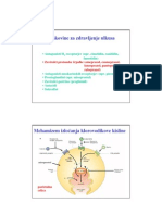 Inhibitorji Protonske Črpalke