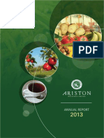 Ariston Annual Report 2013