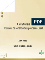 A Nova Fronteira "Produção de Sementes Transgênicas No Brasil"