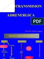 4274-neurotrasmison_adrenergica_1PARA_ALUMNOS