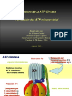 2ATP Sintesis