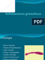 Echinococcus Granulosus,