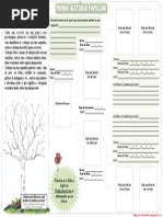 Historia Da Familia