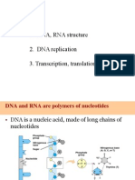 16 BioDNA,Trans
