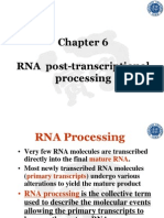 RNA Post-Transcriptional Processing