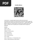 Download Jamur Candida Albicans by Yunita Fatmala SN230313821 doc pdf