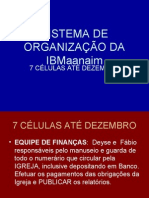 SISTEMA DE ORGANIZAÇÃO DA IBMaanaim