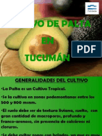 Palta Tucuman