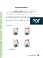 Guía de Teorias de La Evolución 8 °