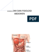 Anatomi Dan Fisiologi Abdomen