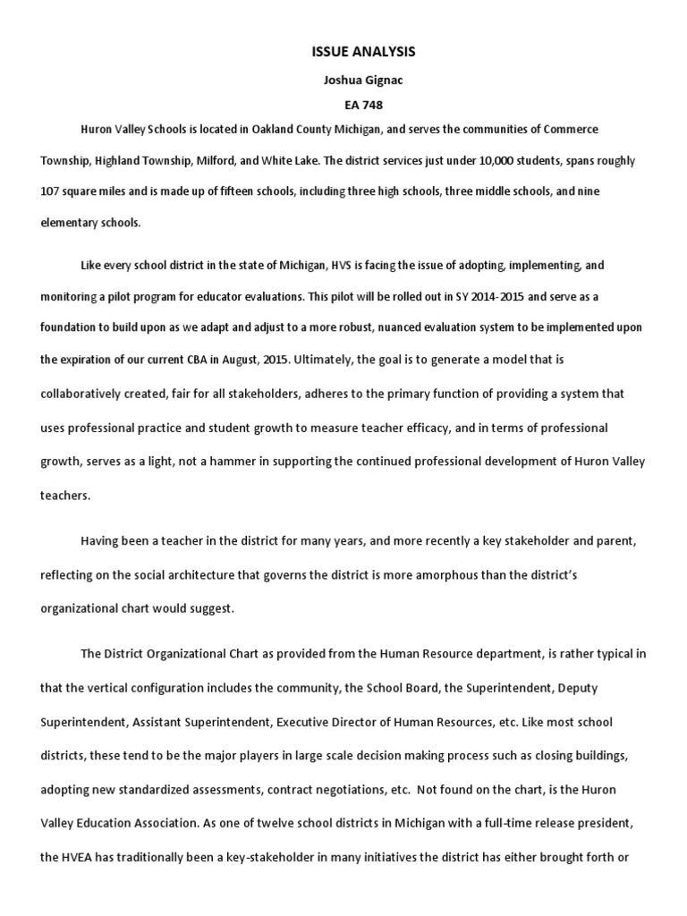 Issue Analysis | PDF | Leadership | Evaluation