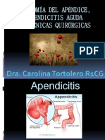 Anatomia Del Apendice y Tecnicas Quirurgicas