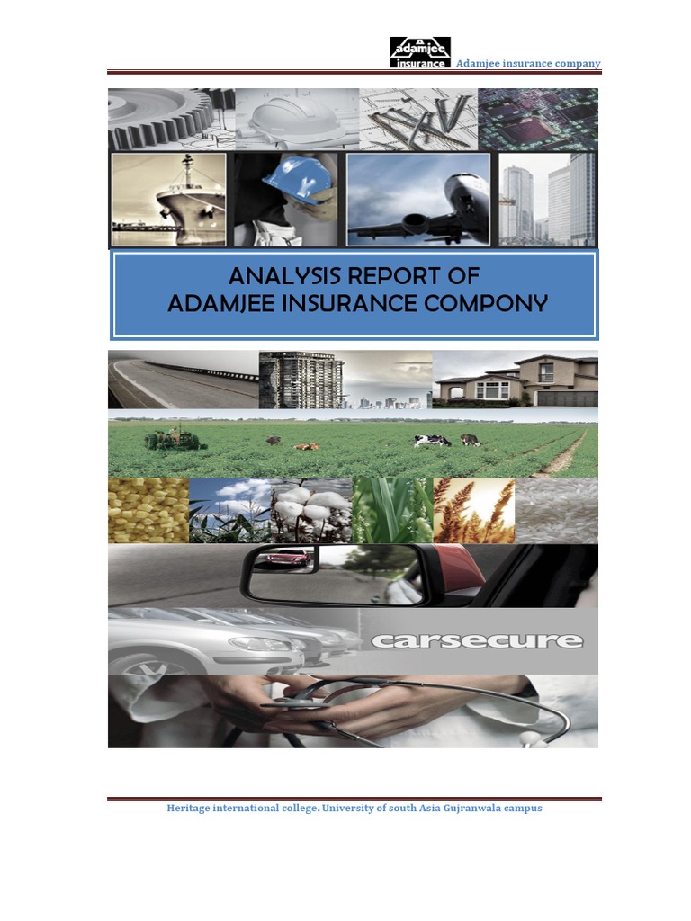 Money and Banking (Project Report On Adam Jee Insurance) PDF