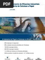 Apresentação Celulose e Papel