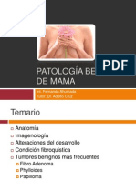 Patología benigna de mama: anatomía, imagenes, alteraciones y tumores